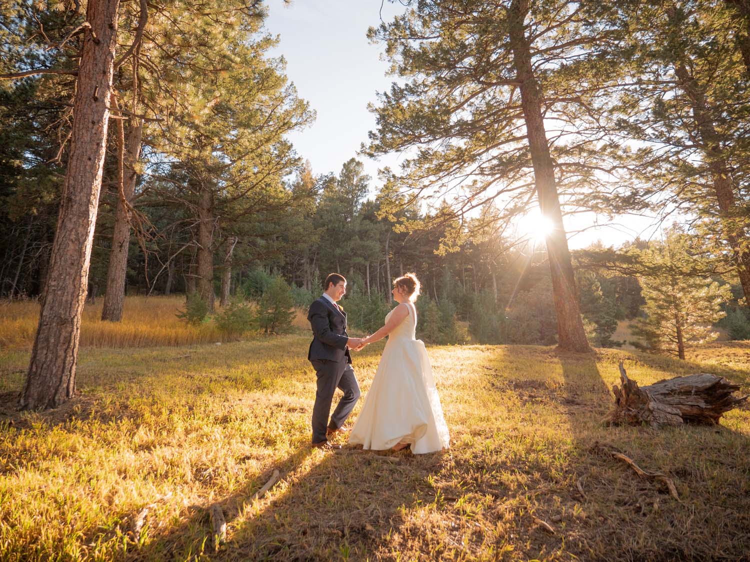 the pines by Wedgewood weddings couple forest